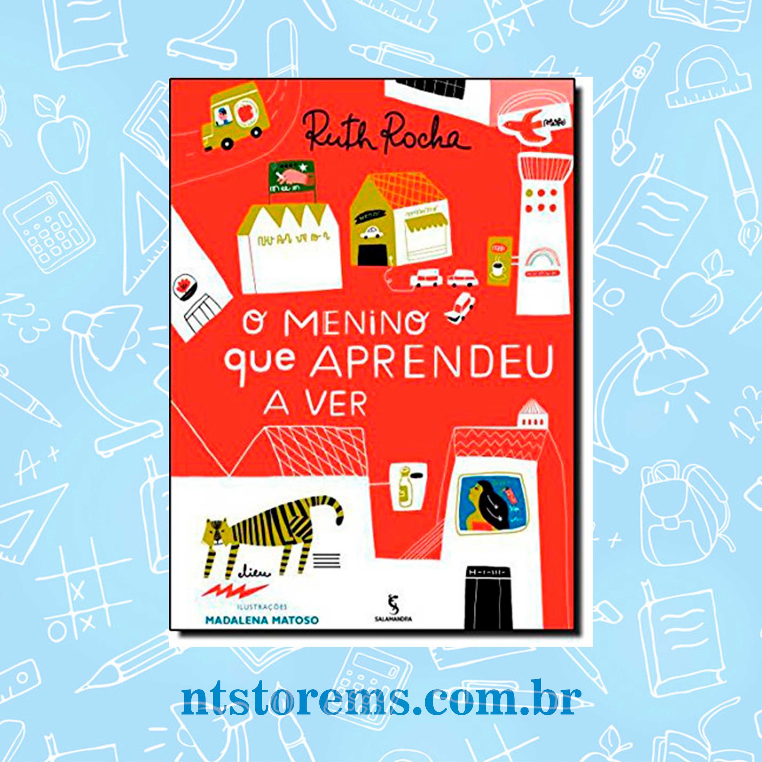 O menino que aprendeu a ver novo tempo store ms