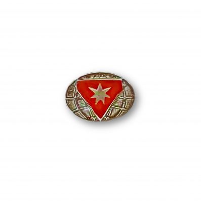 Distintivo Líder Master - Desbravador - Imagem 1