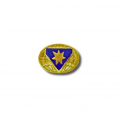 Distintivo Líder Master Avançado - Desbravador - Imagem 1